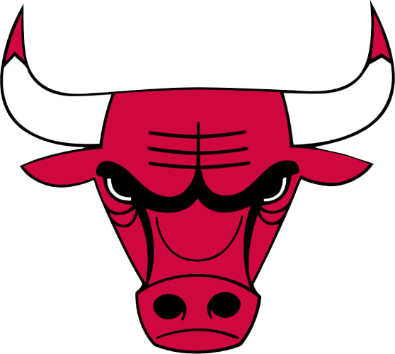 Chicago Bulls